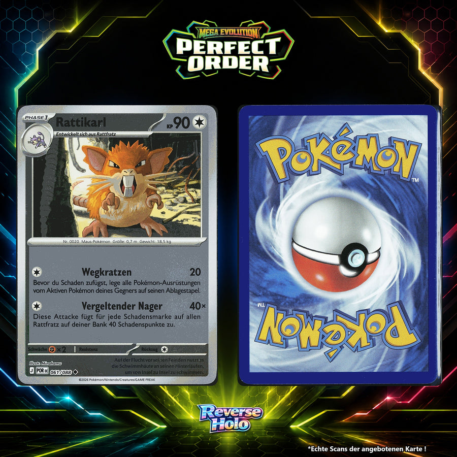 Rattikarl Reverse Holo POR 61/88