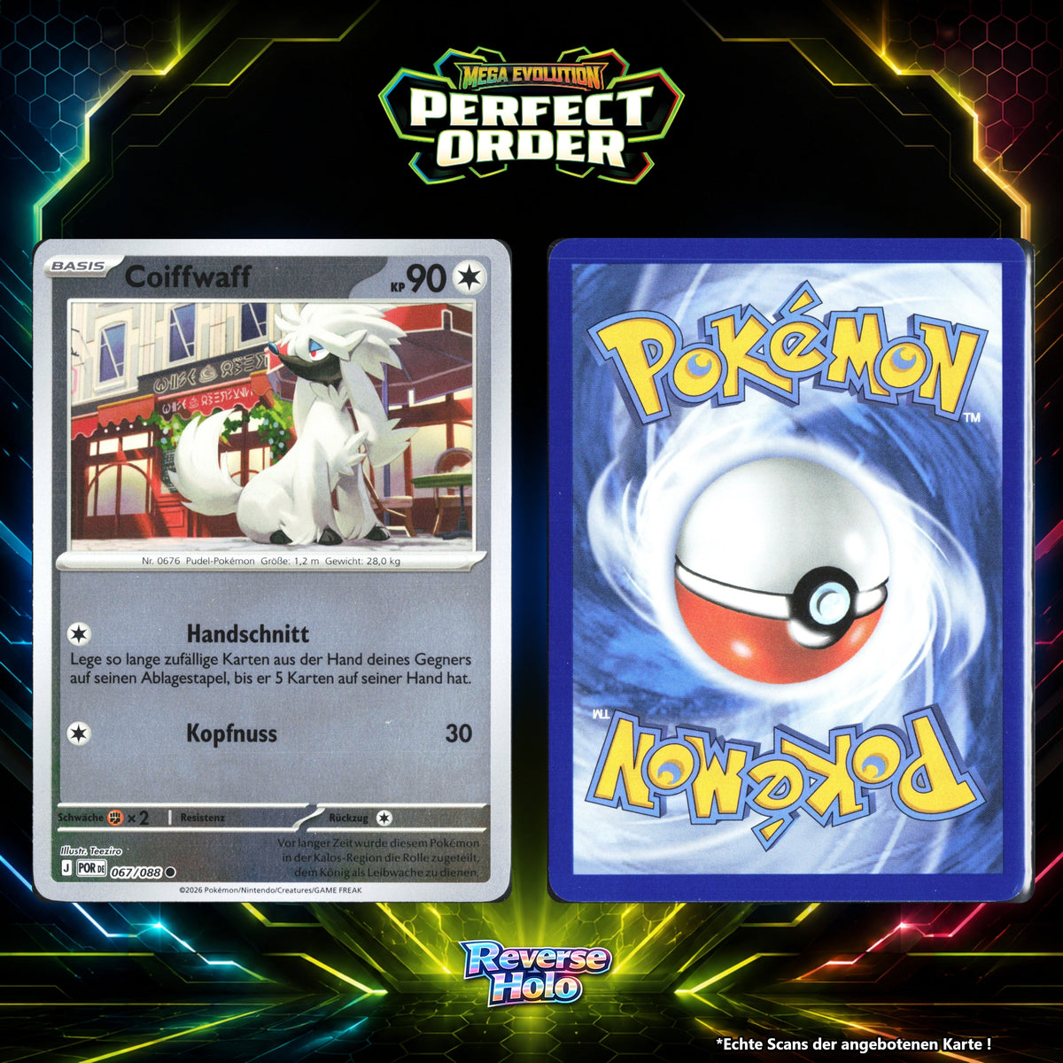 Coiffwaff Reverse Holo POR 67/88