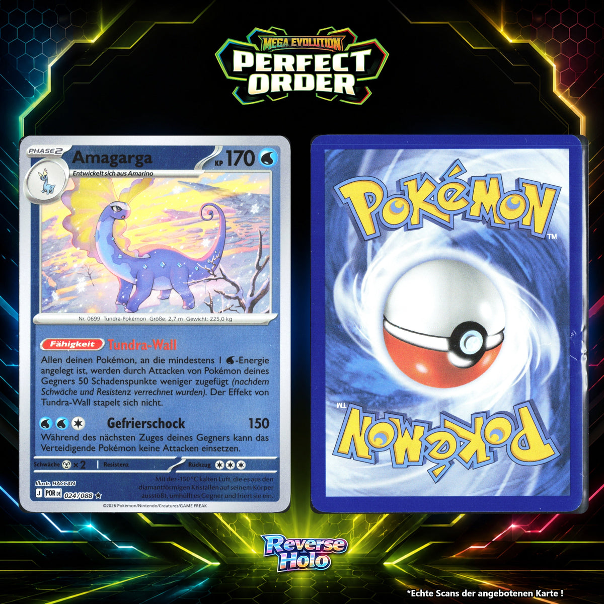 Amagarga Reverse Holo POR 24/88