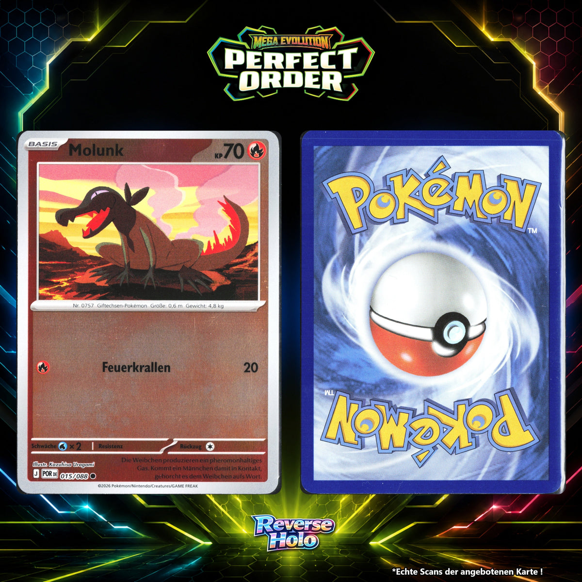 Molunk Reverse Holo POR 15/88