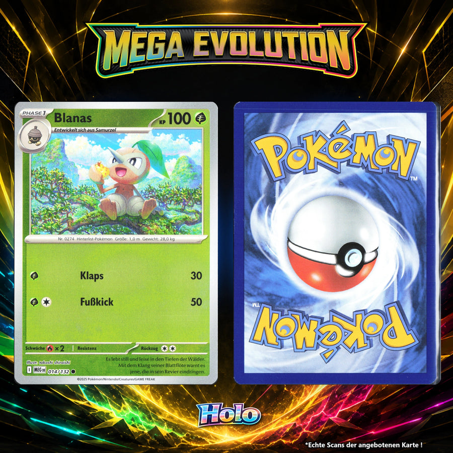 Blanas Holo MEG 14/132