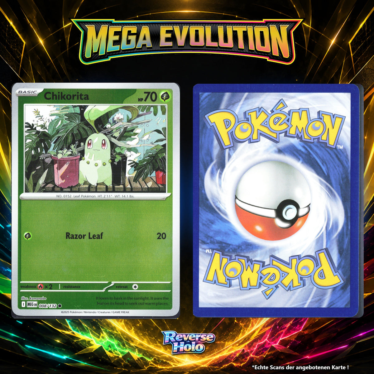 Endivie Reverse Holo MEG 8/132