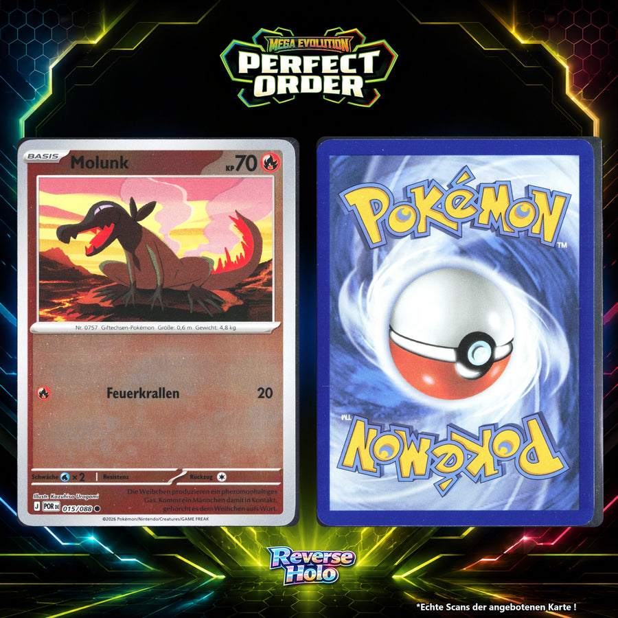 Molunk Reverse Holo Energy-Pattern POR 15/88