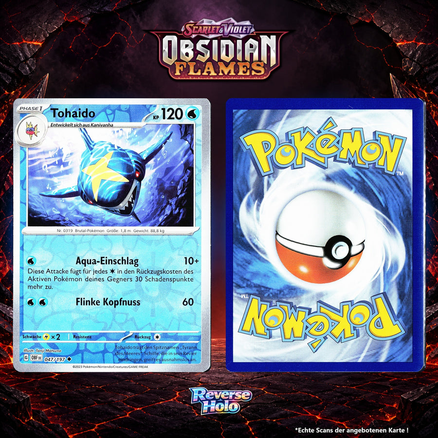 Tohaido Reverse Holo Energy-Pattern OBF 47/197