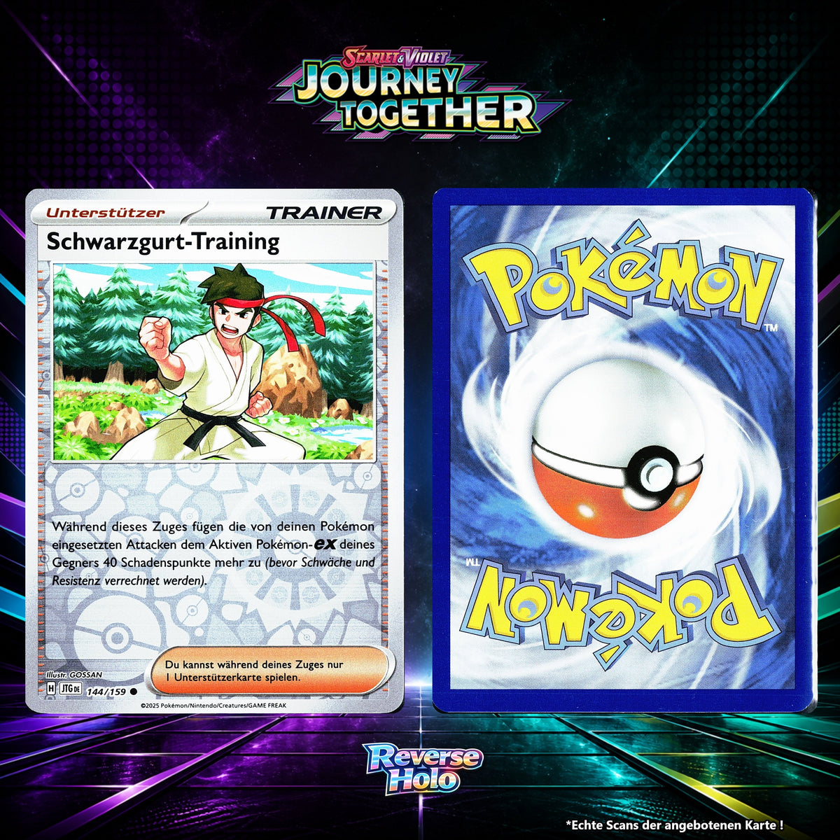 Schwarzgurt Training Reverse Holo Energy-Pattern JTG 144/159