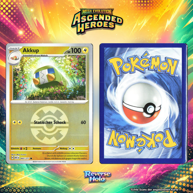 Akkup Reverse Holo Pokeball ASC 65/217