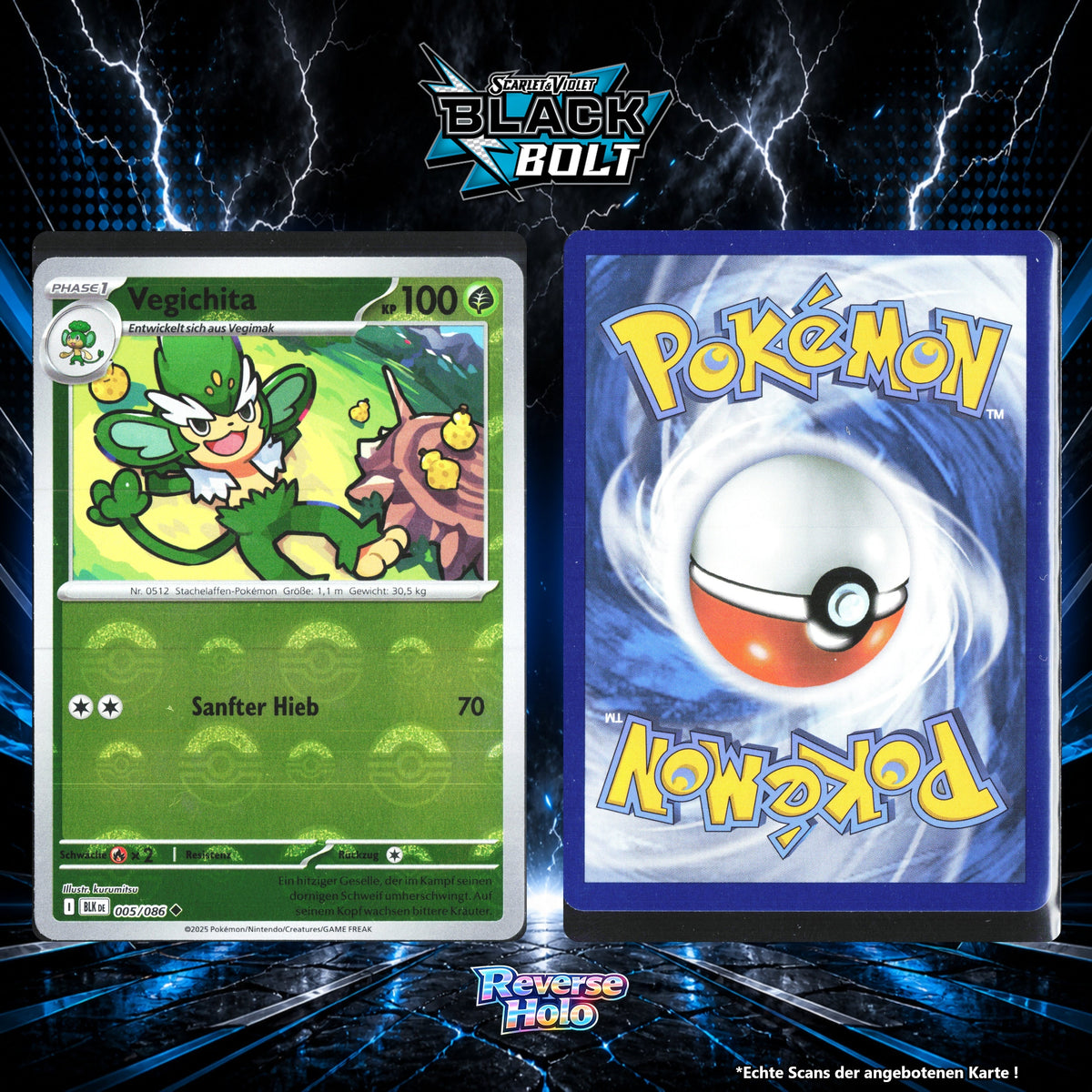 Vegichita Reverse Holo Pokeball BLK 5/86