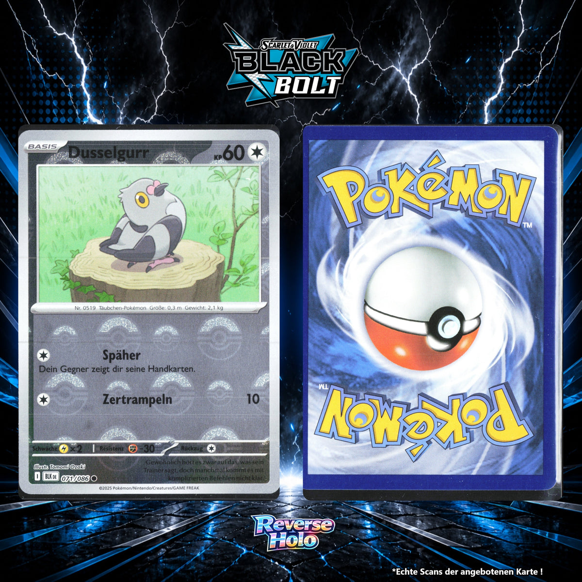 Dusselgurr Reverse Holo Pokeball BLK 71/86
