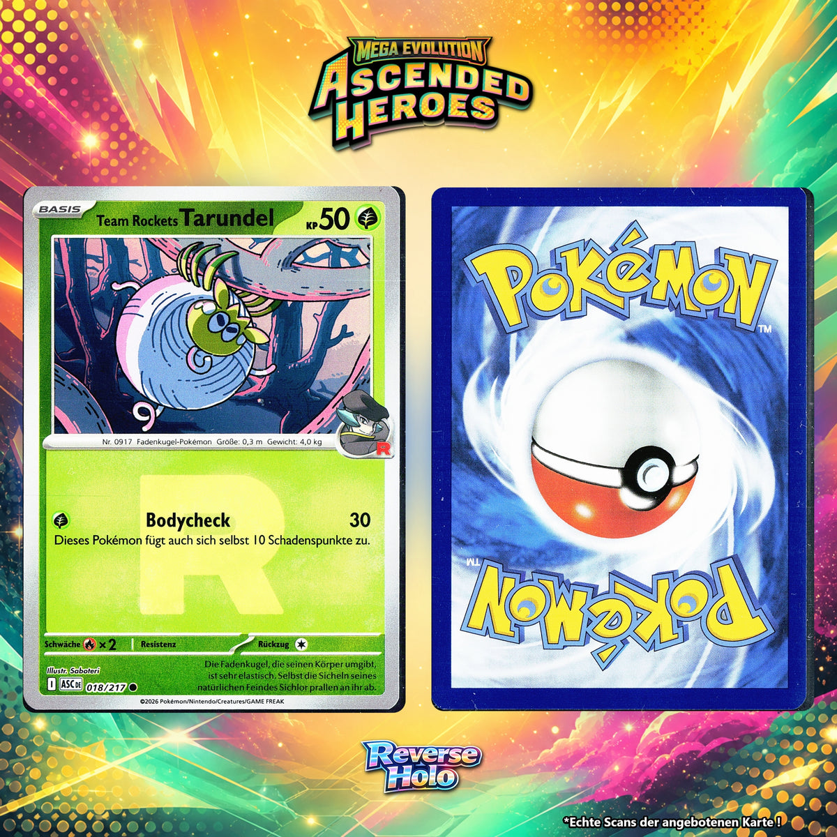 Team Rockets Tarundel front