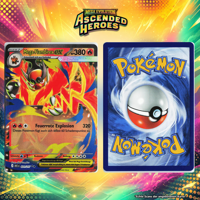 Mega Flambirex ex Normal ASC 31/217