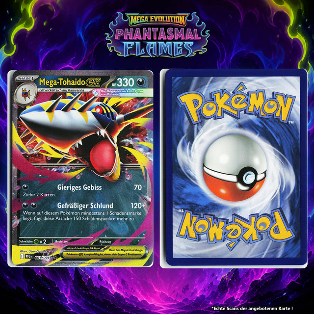 Mega Tohaido ex Normal PFL 61/94