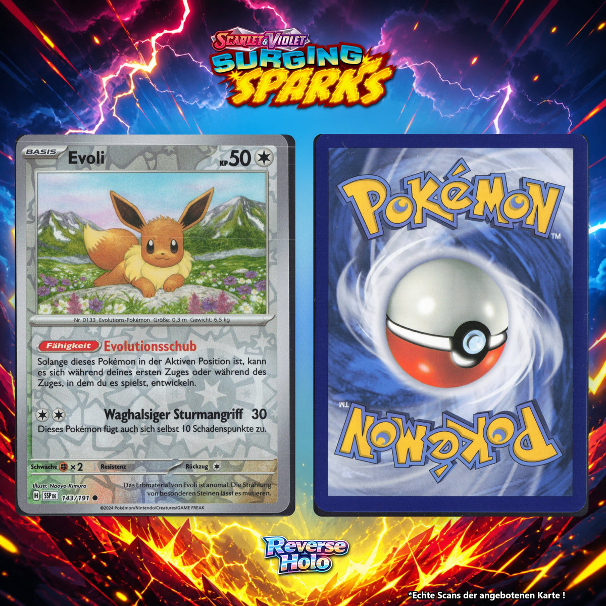 Evoli Reverse Holo Energy-Pattern SSP 143/191