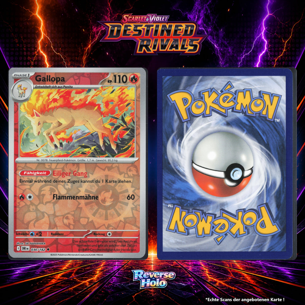 Gallopa Reverse Holo Energy-Pattern DRI 30/182