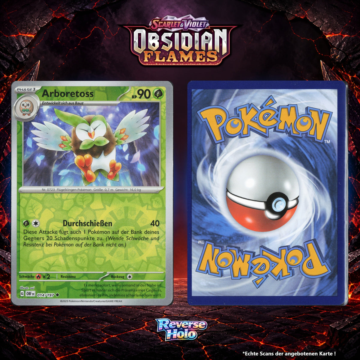 Arboretoss Reverse Holo Energy-Pattern OBF 14/197