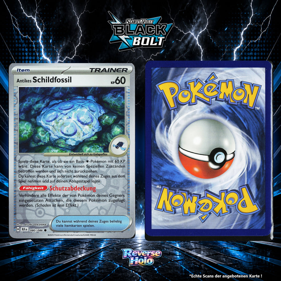 Antikes Schildfossil Reverse Holo Energy-Pattern BLK 80/86