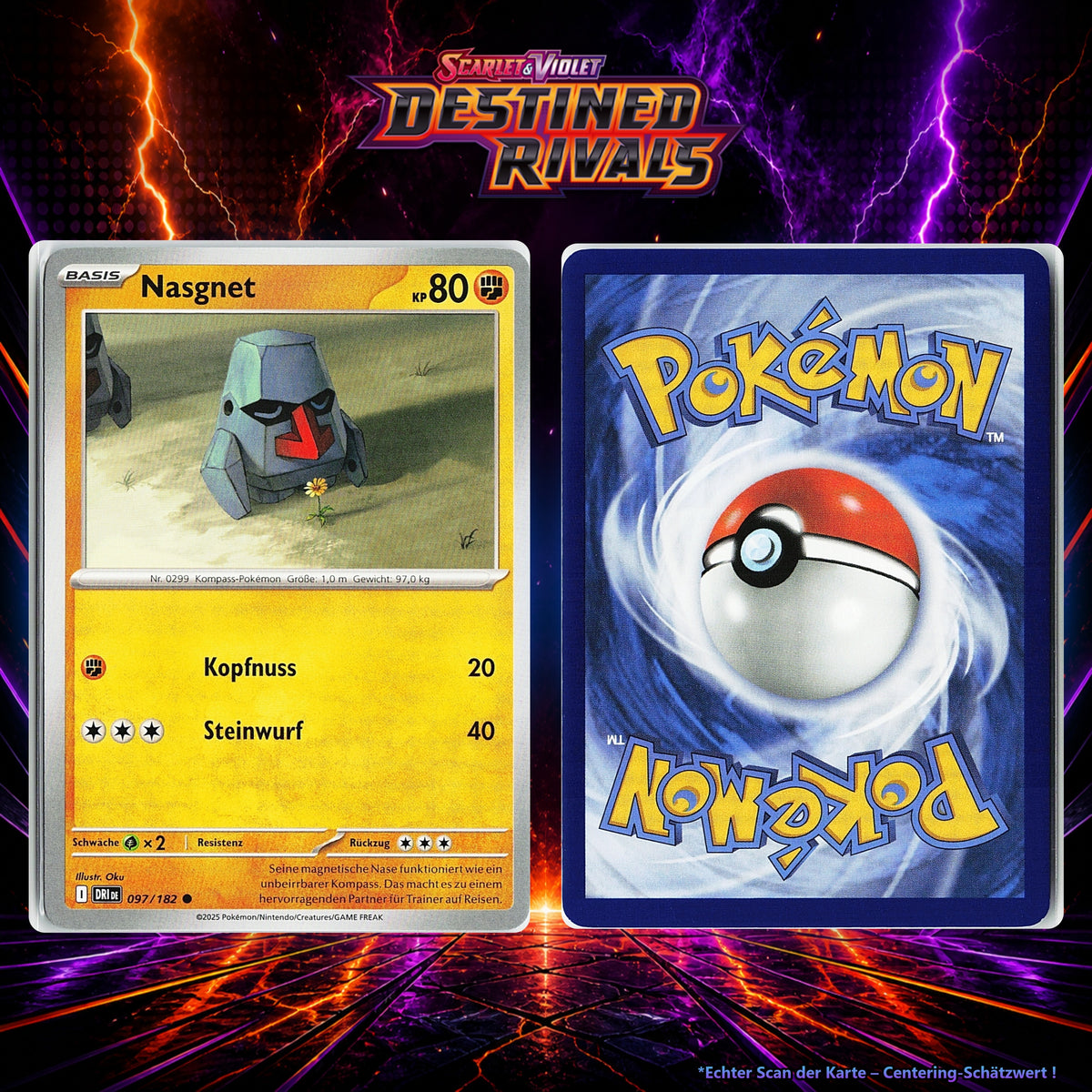 Nasgnet front