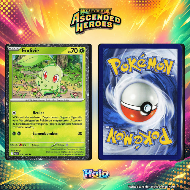 Endivie Holo Cosmos ASC 8/217