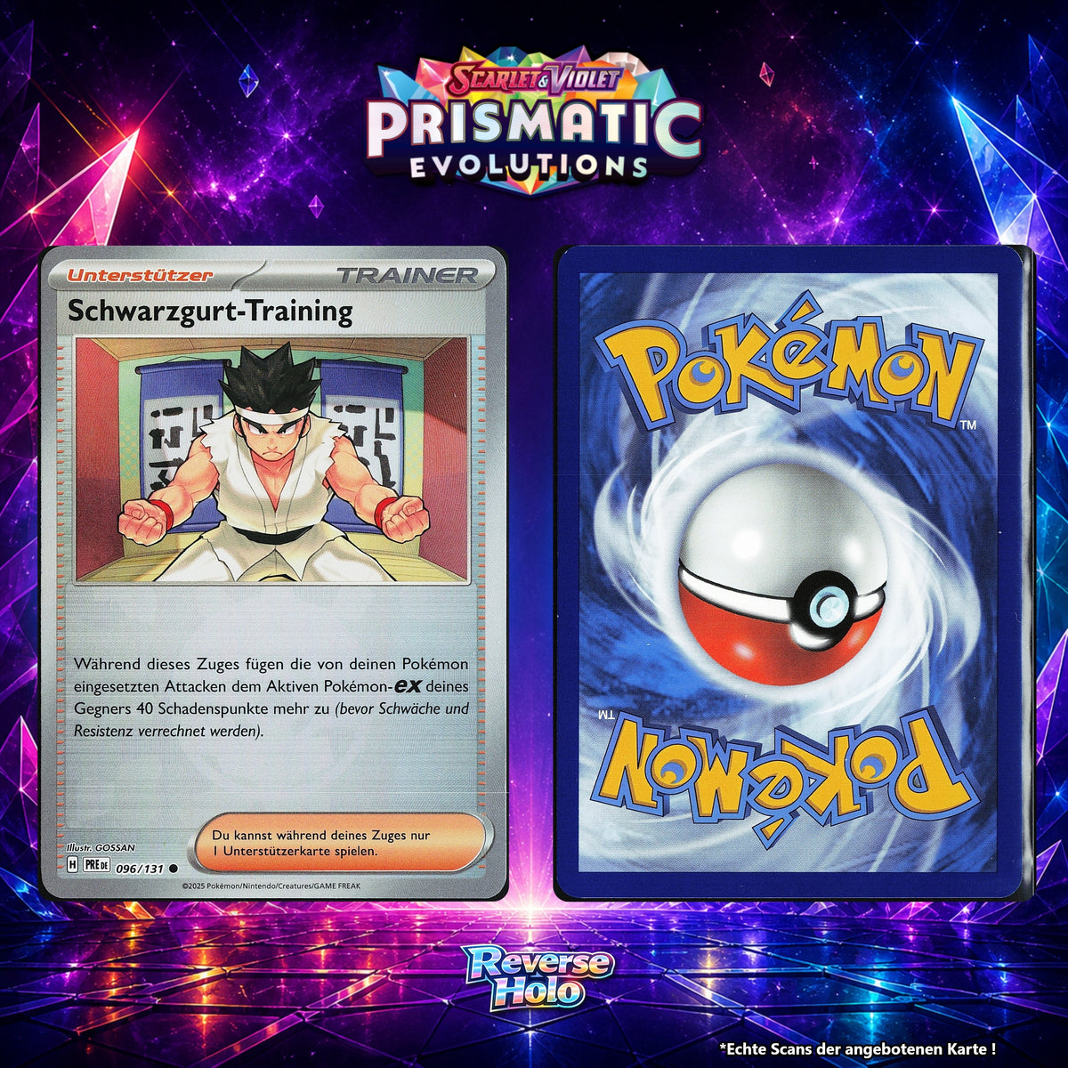 Schwarzgurt Training Reverse Holo Pokeball PRE 96/131