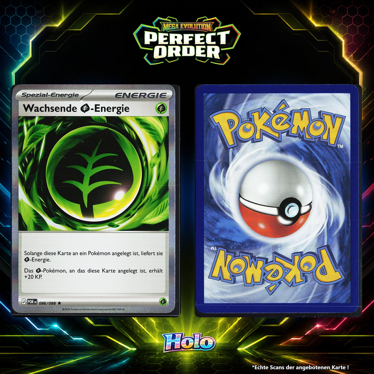 Wachsende Grass Energie Holo POR 86/88