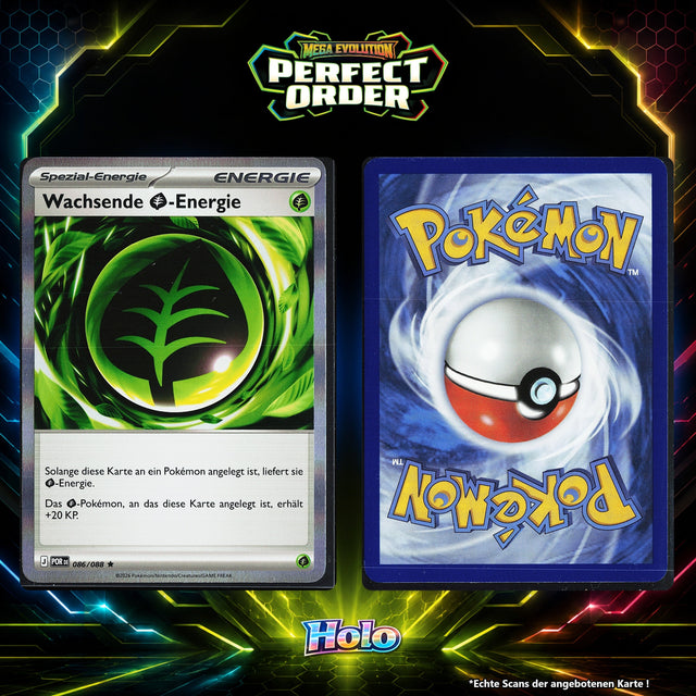 Wachsende Grass Energie Holo POR 86/88