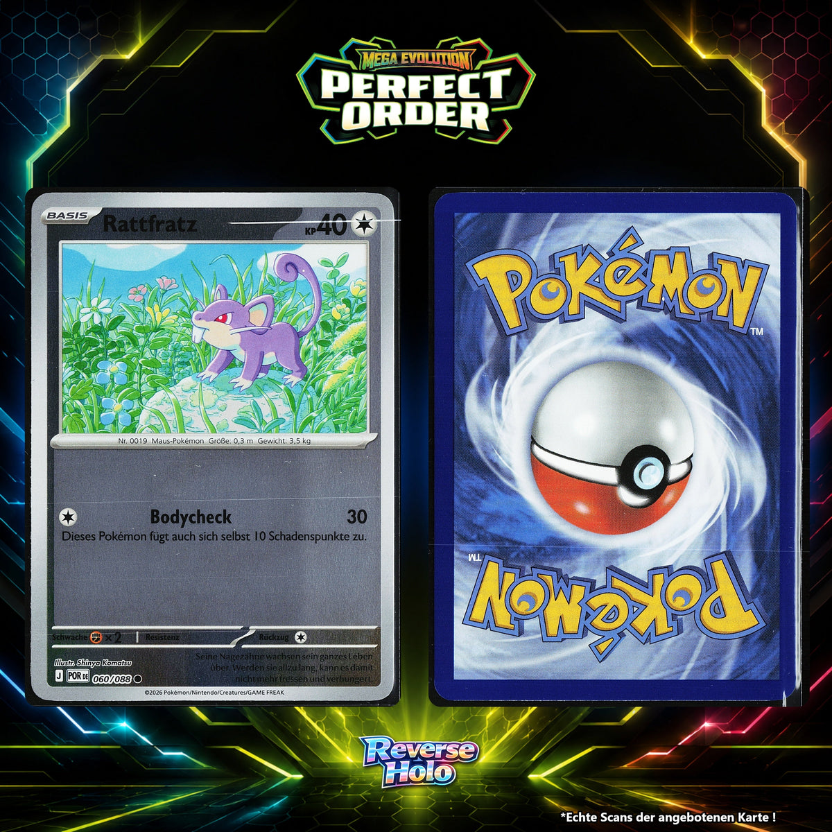 Rattfratz Reverse Holo POR 60/88