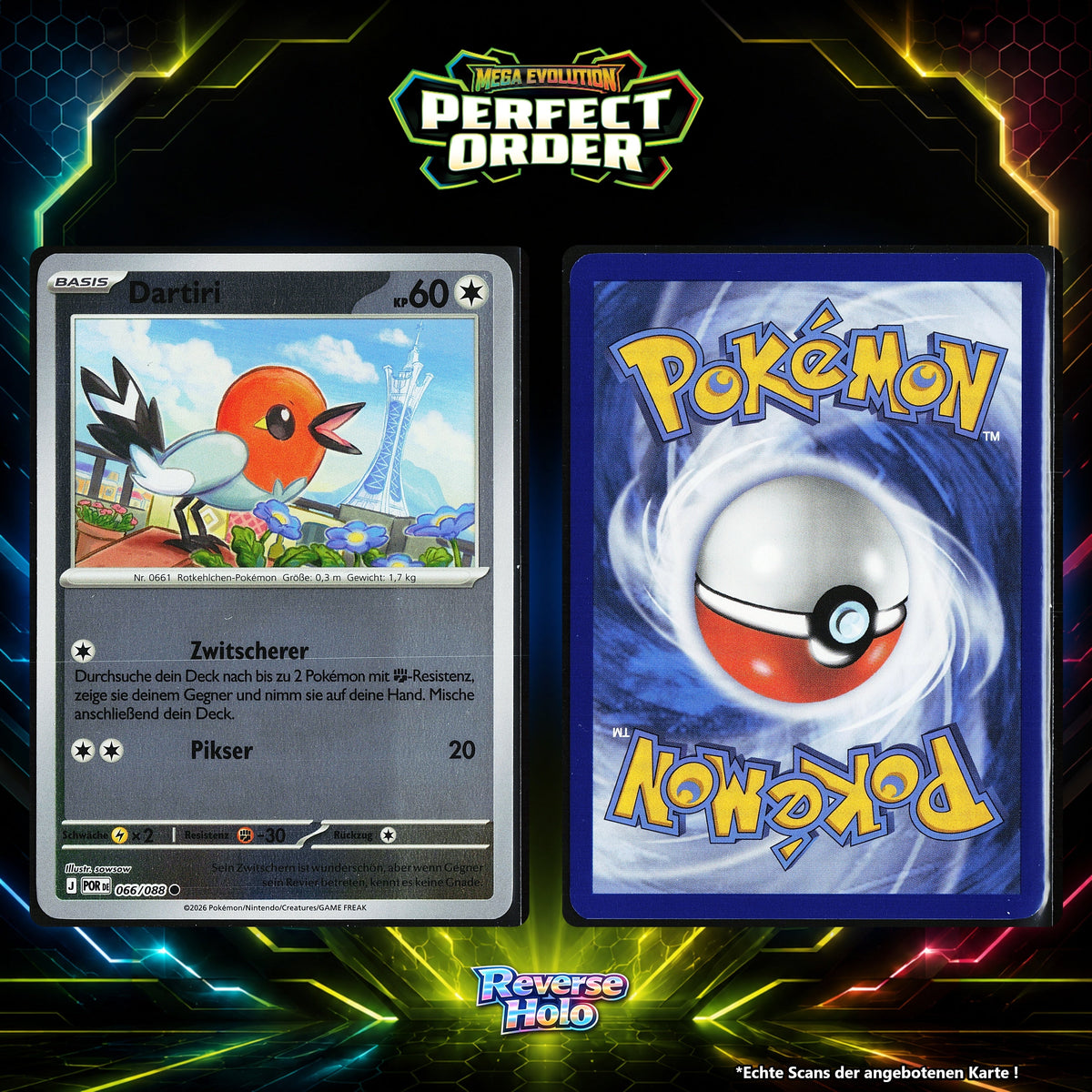 Dartiri Reverse Holo POR 66/88