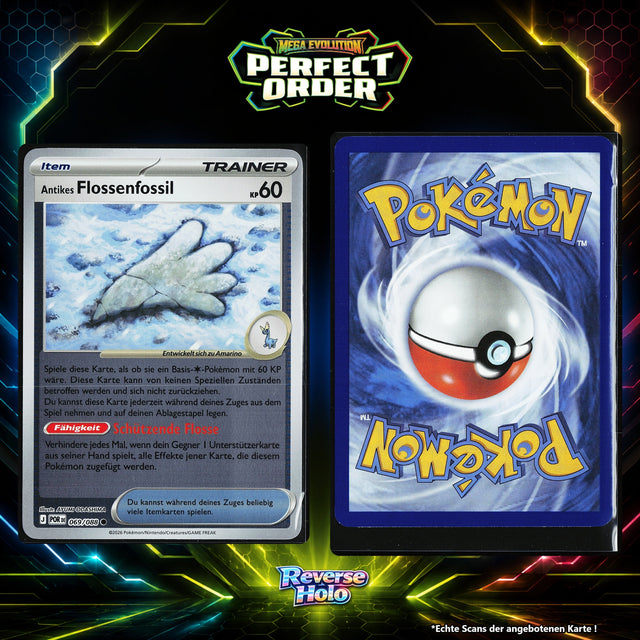 Antikes Flossenfossil Reverse Holo POR 69/88