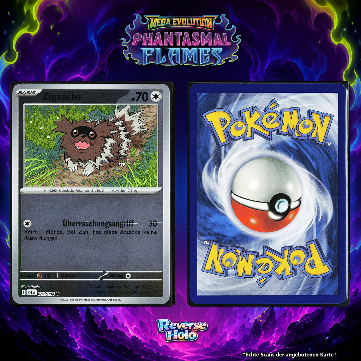 Zigzachs Reverse Holo PFL 81/94