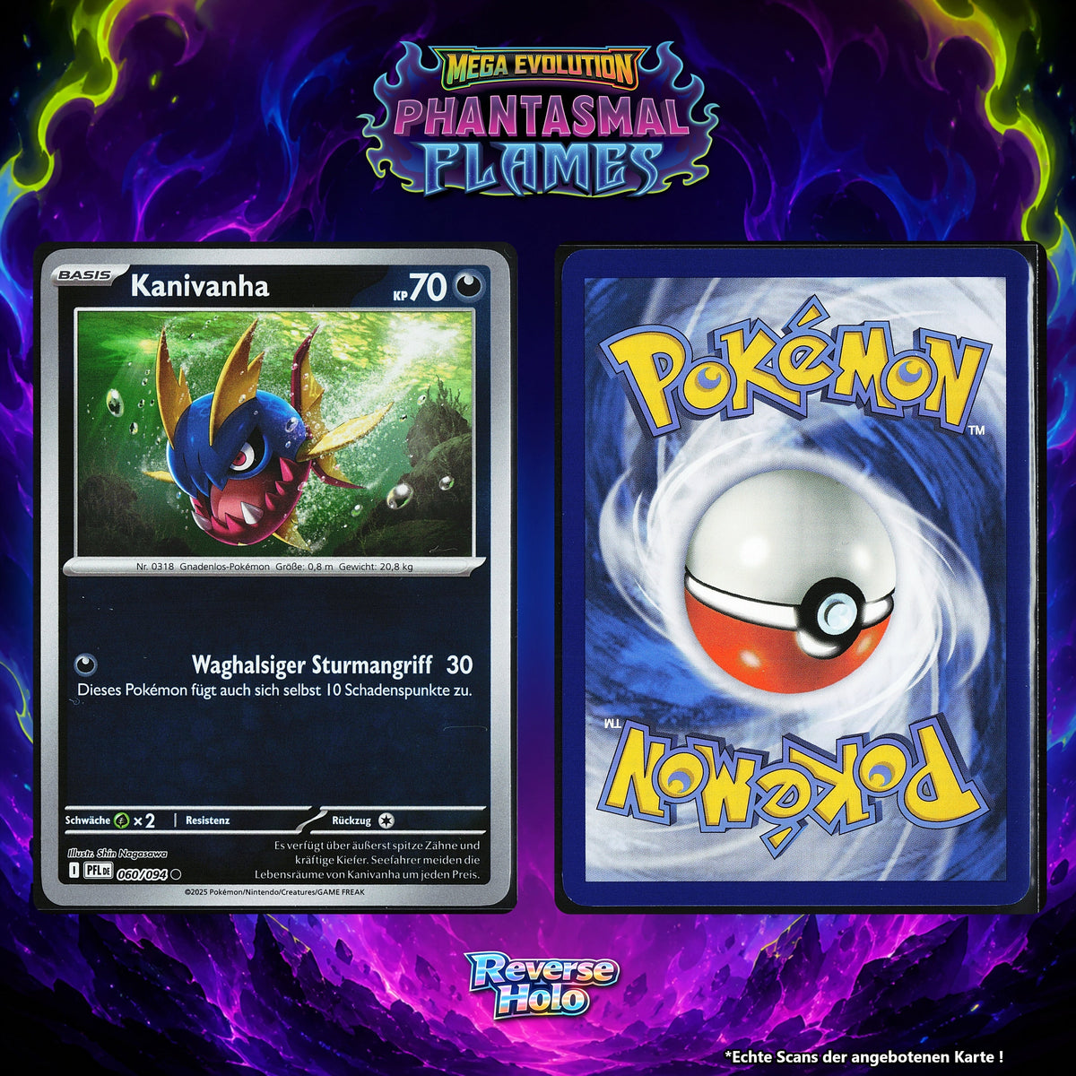 Kanivanha Reverse Holo PFL 60/94