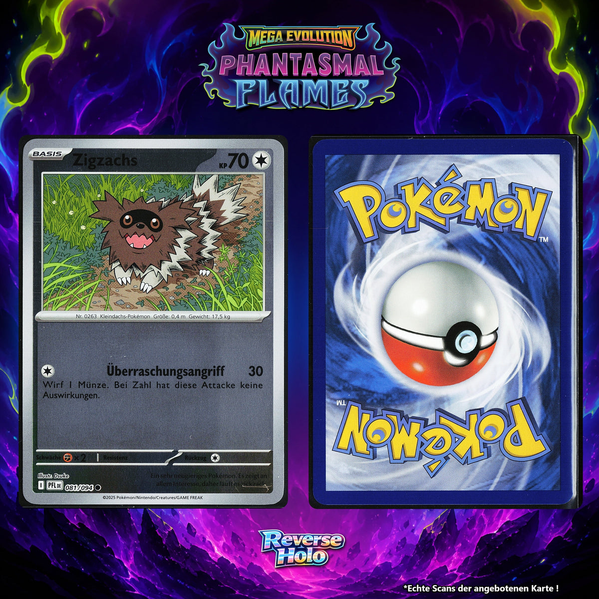 Zigzachs Reverse Holo PFL 81/94