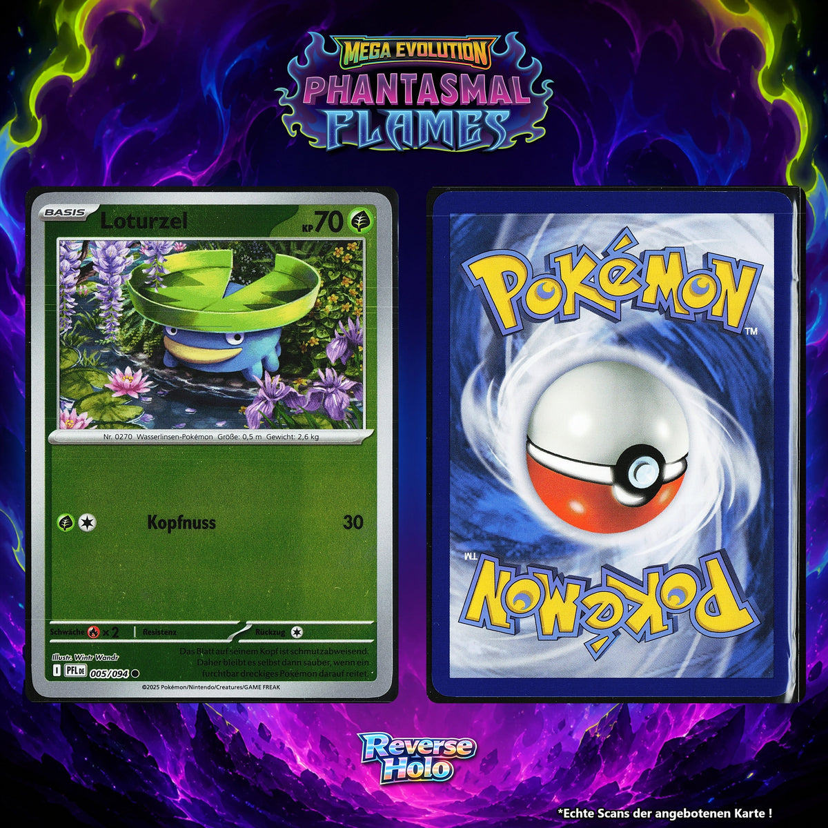 Loturzel Reverse Holo PFL 5/94