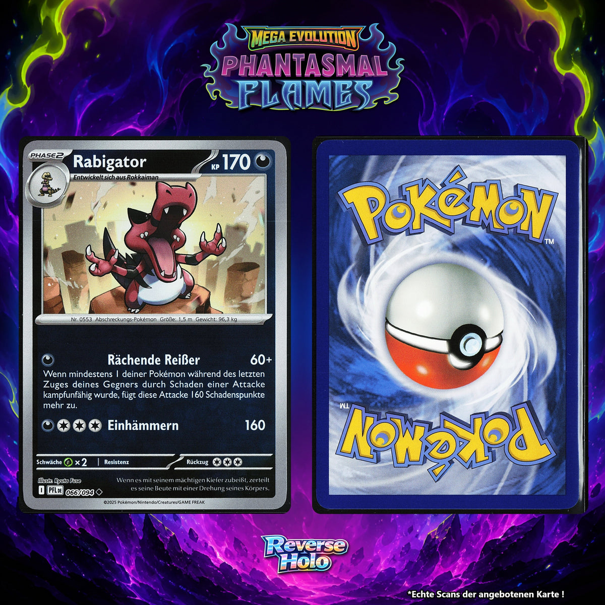 Rabigator Reverse Holo PFL 66/94