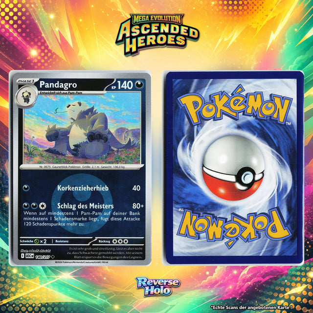 Pandagro Reverse Holo Energy-Pattern ASC 140/217