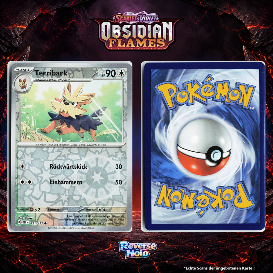 Terribark Reverse Holo Energy-Pattern OBF 171/197