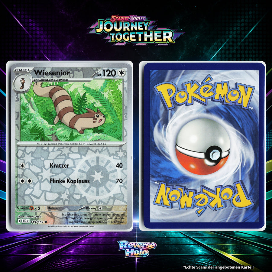 Wiesenior Reverse Holo Energy-Pattern JTG 119/159