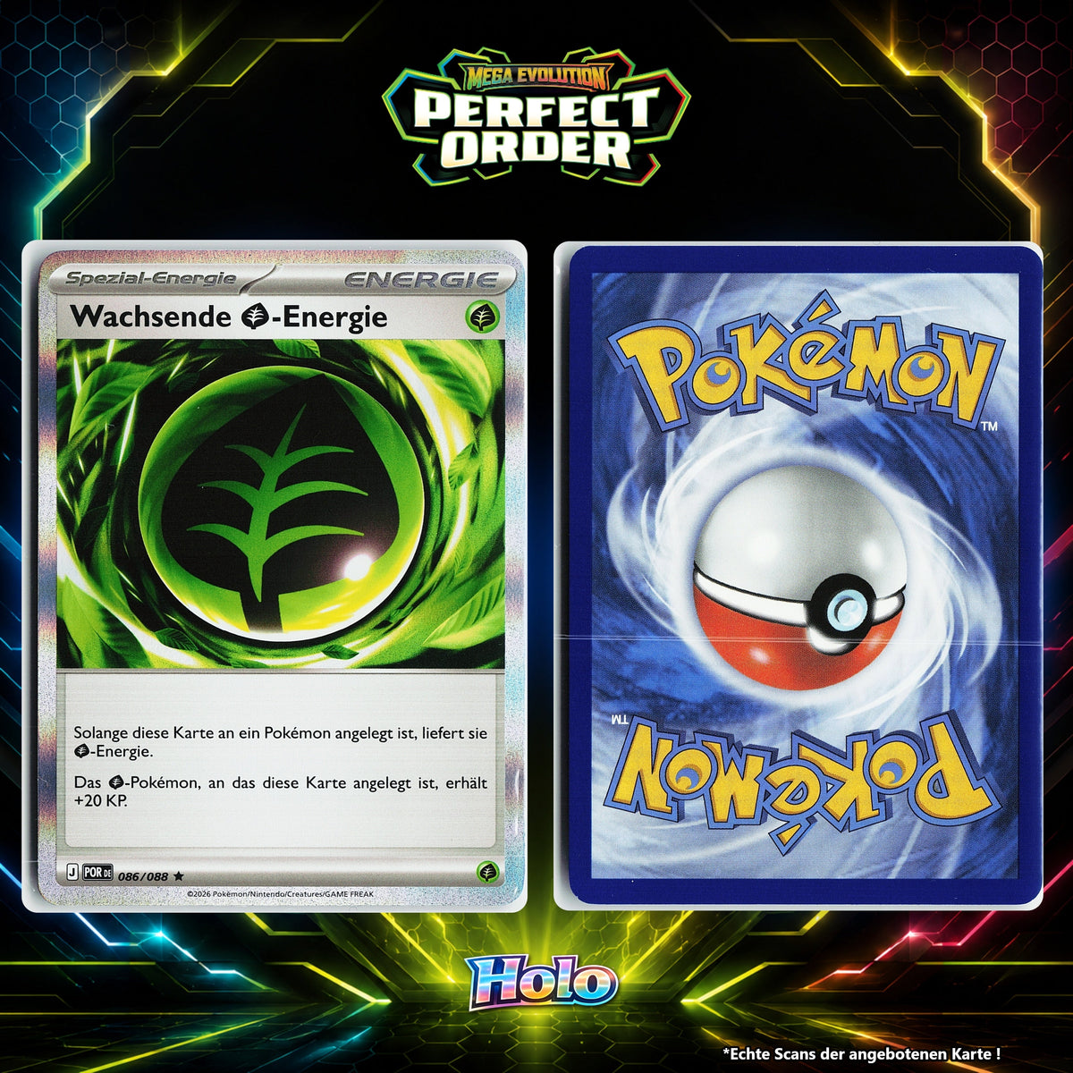 Wachsende Grass Energie Holo POR 86/88