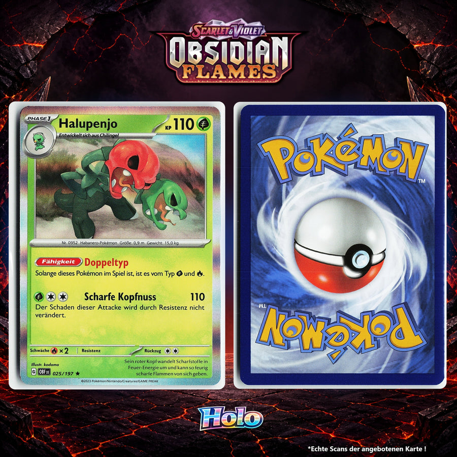 Halupenjo Holo OBF 25/197