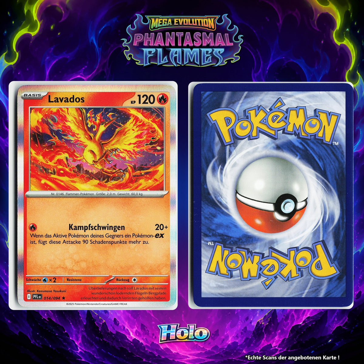 Lavados Holo PFL 14/94
