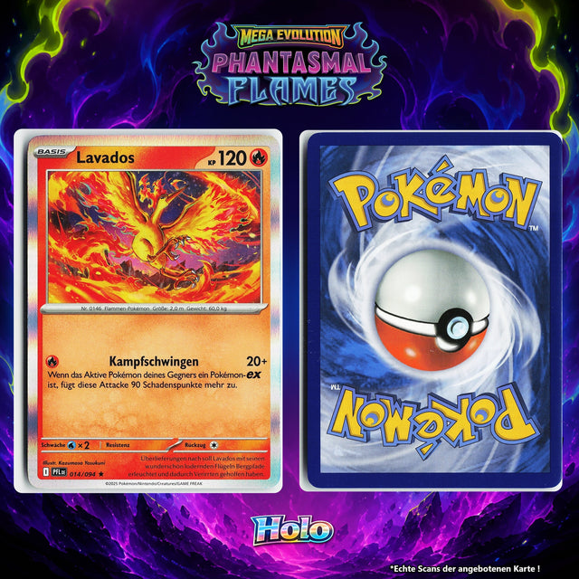 Lavados Holo PFL 14/94