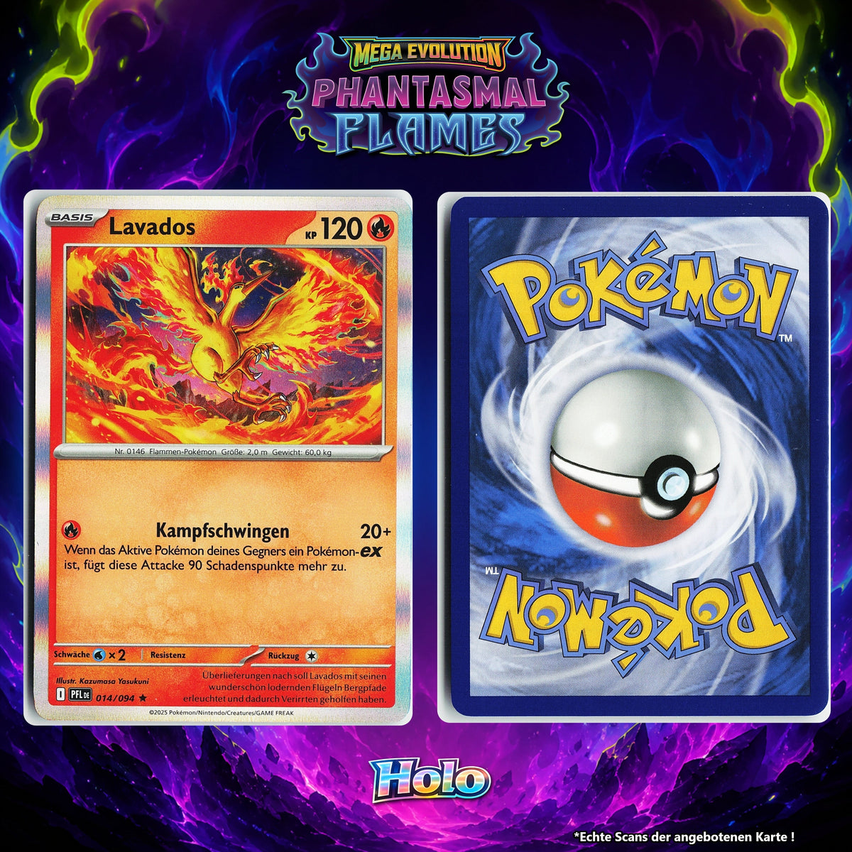 Lavados Holo PFL 14/94