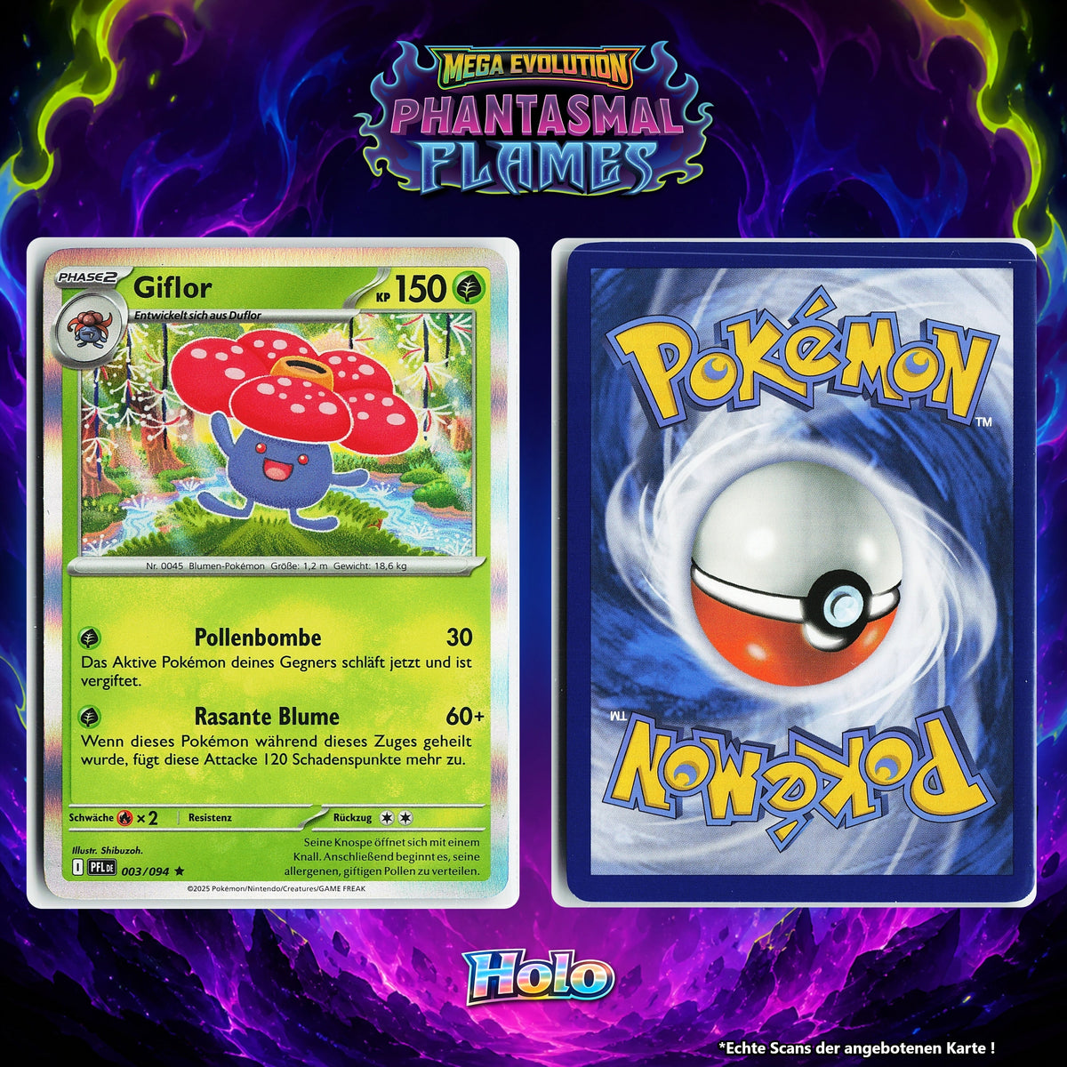 Giflor Holo PFL 3/94