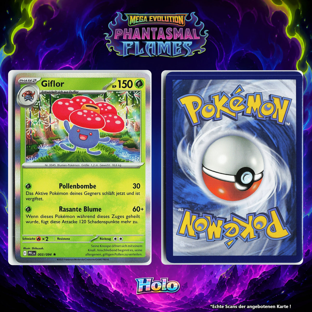 Giflor Holo PFL 3/94