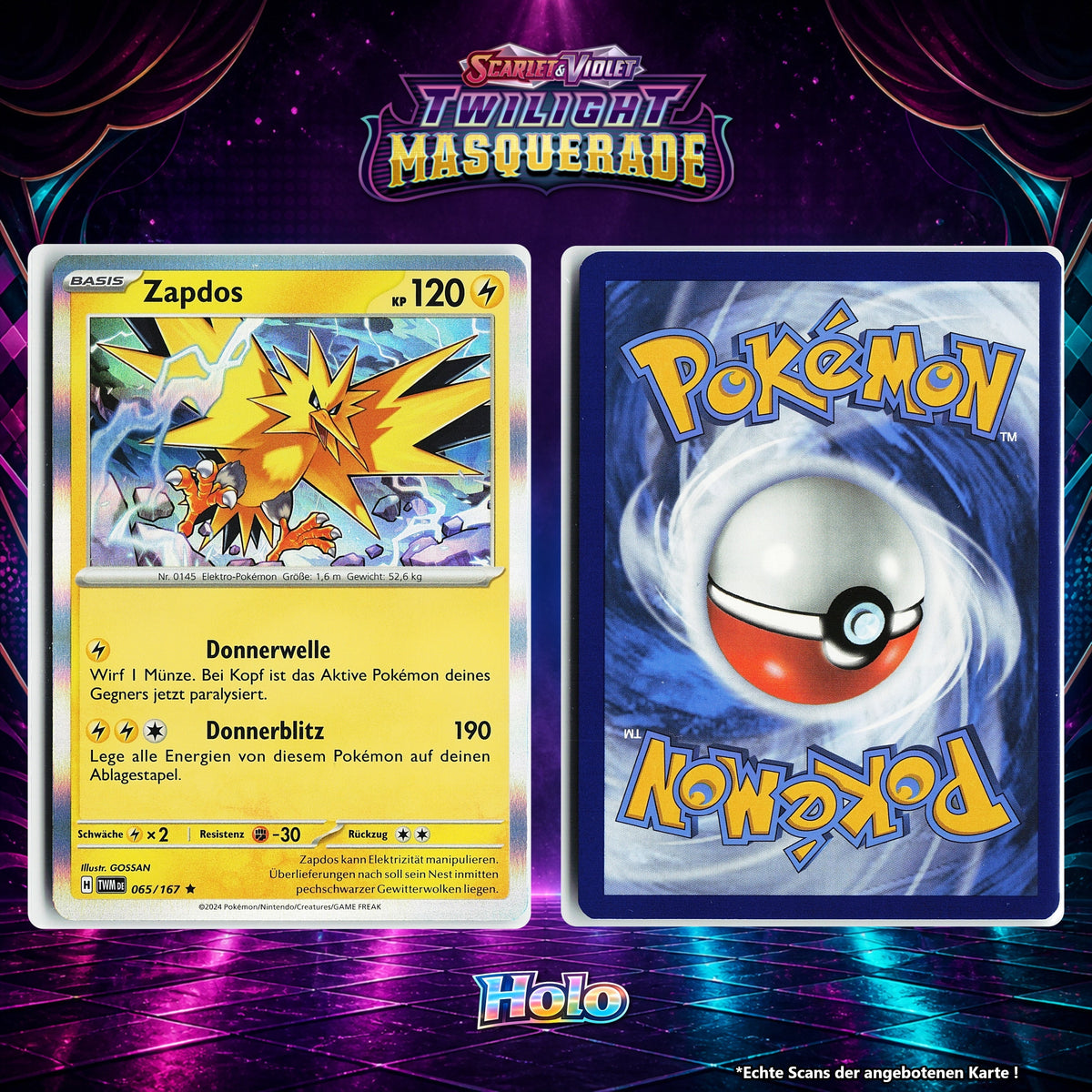Zapdos Holo TWM 65/167