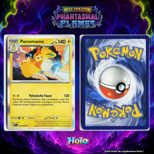 Pamomamo Holo PFL 34/94