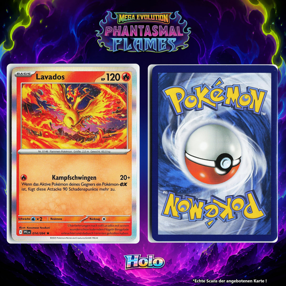 Lavados Holo PFL 14/94