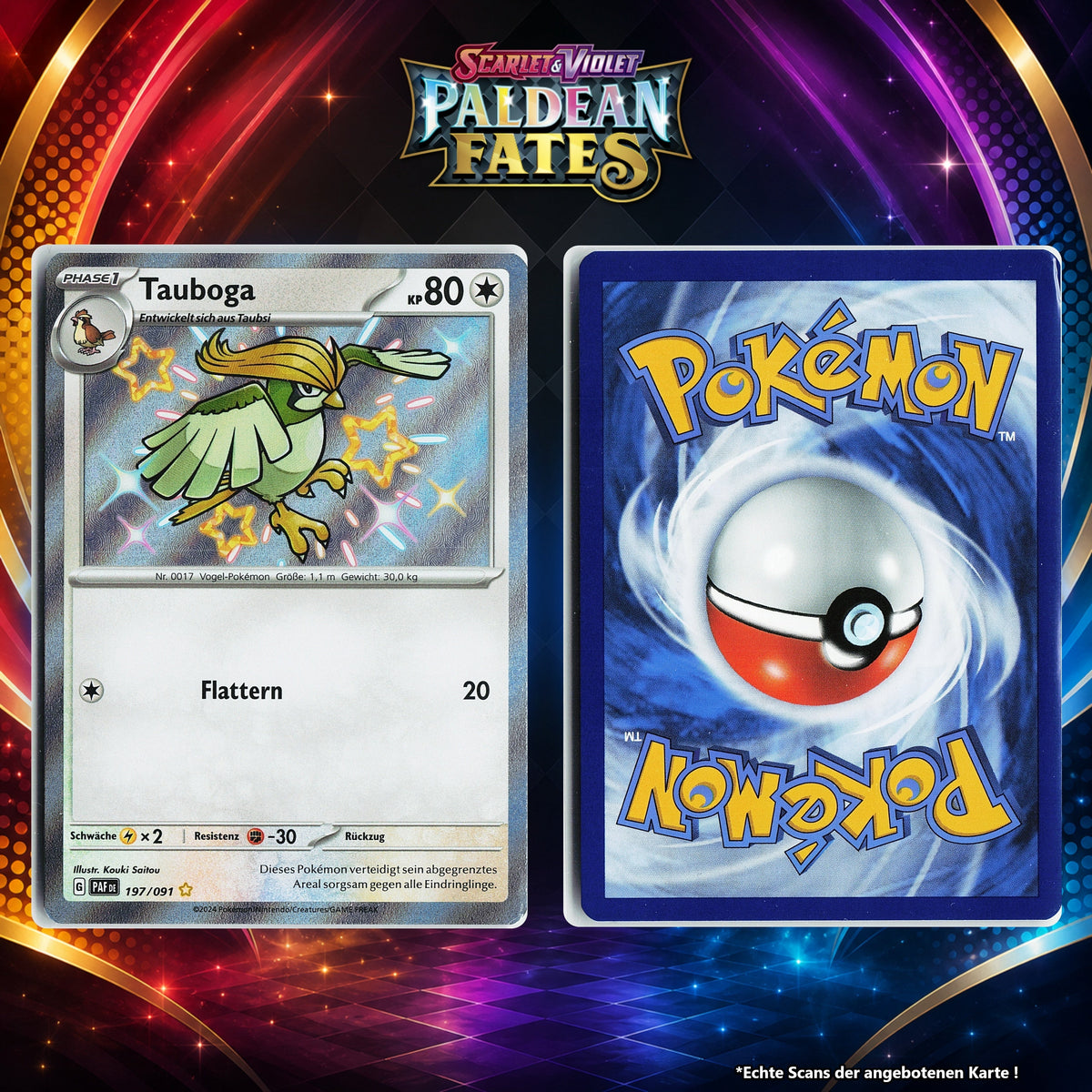 Tauboga Normal PAF 197/91