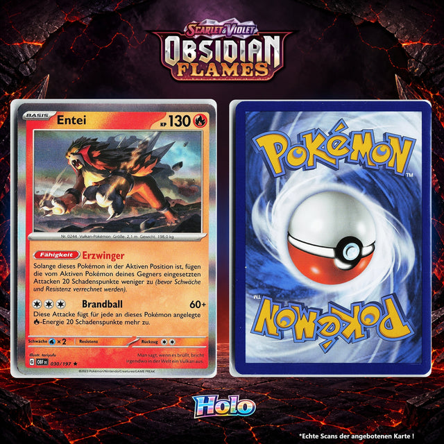 Entei Holo OBF 30/197