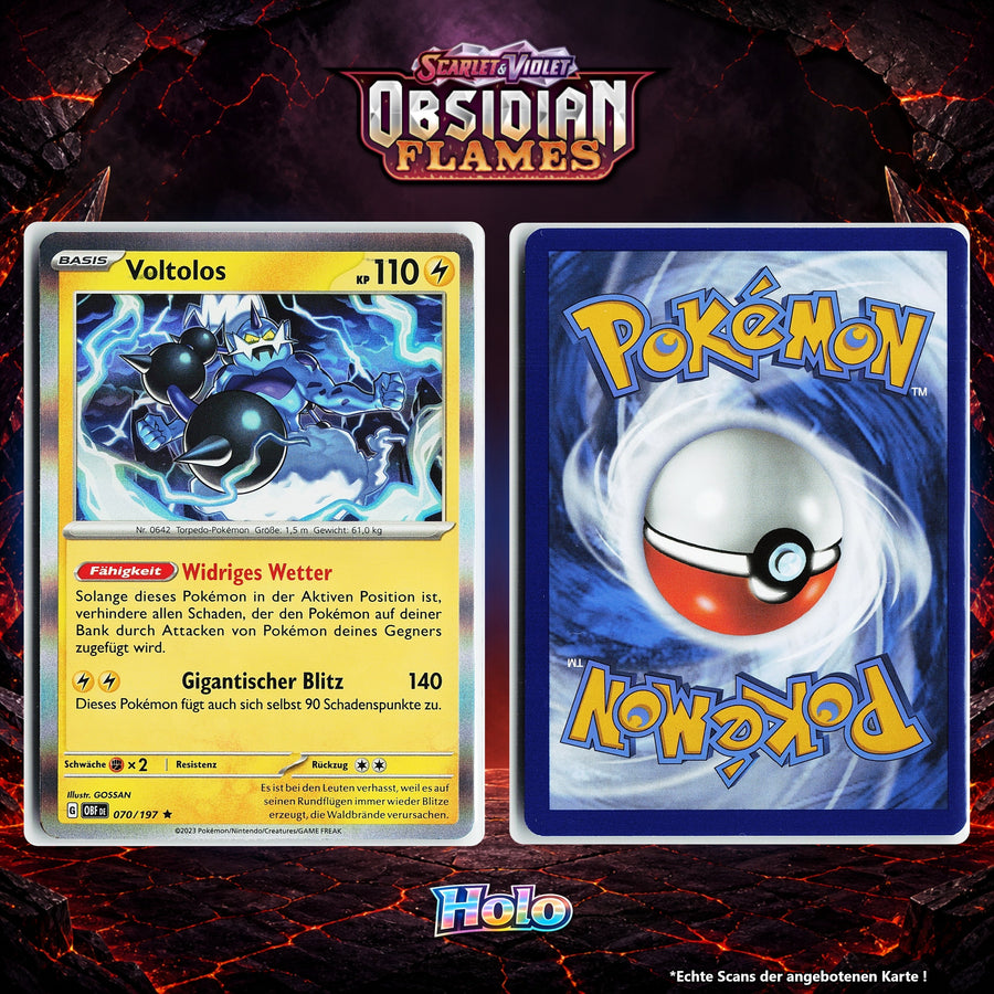Voltolos Holo OBF 70/197