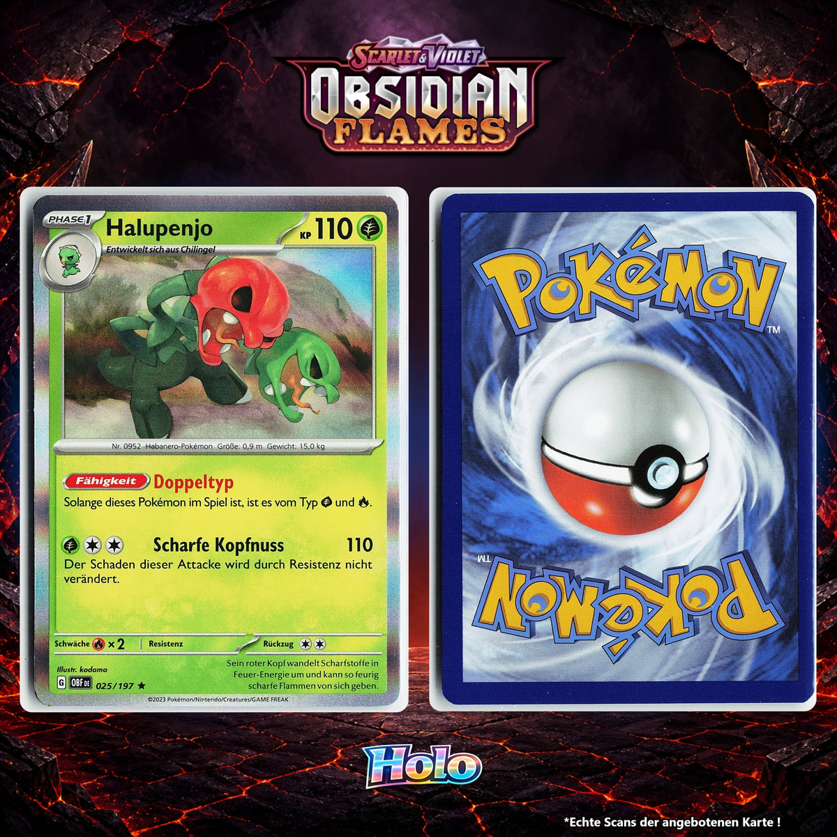 Halupenjo Holo OBF 25/197