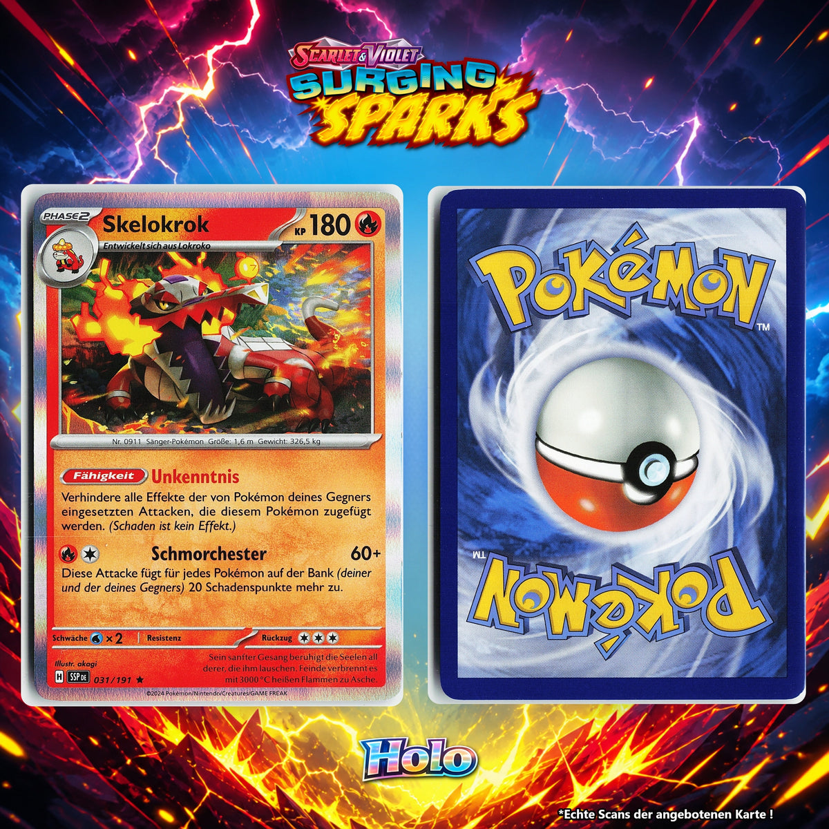 Skelokrok Holo SSP 31/191